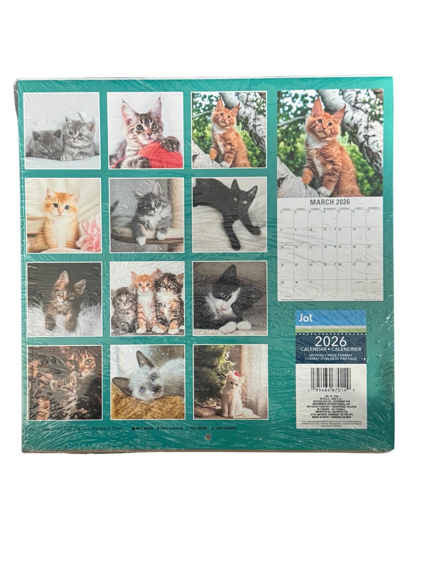 2026 Kittens & Cats Wall Calendars 2-Pack: Beach Theme