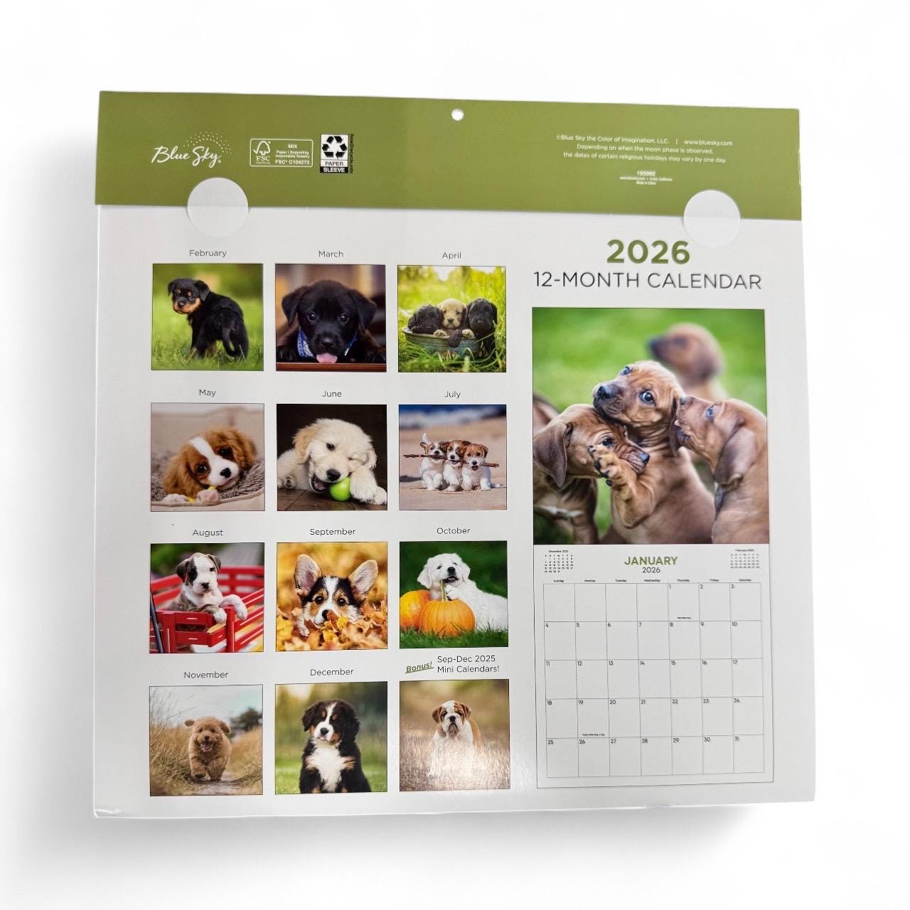 2026 PUPPIES 12” X 24” 16 Month Wall Calendar New
