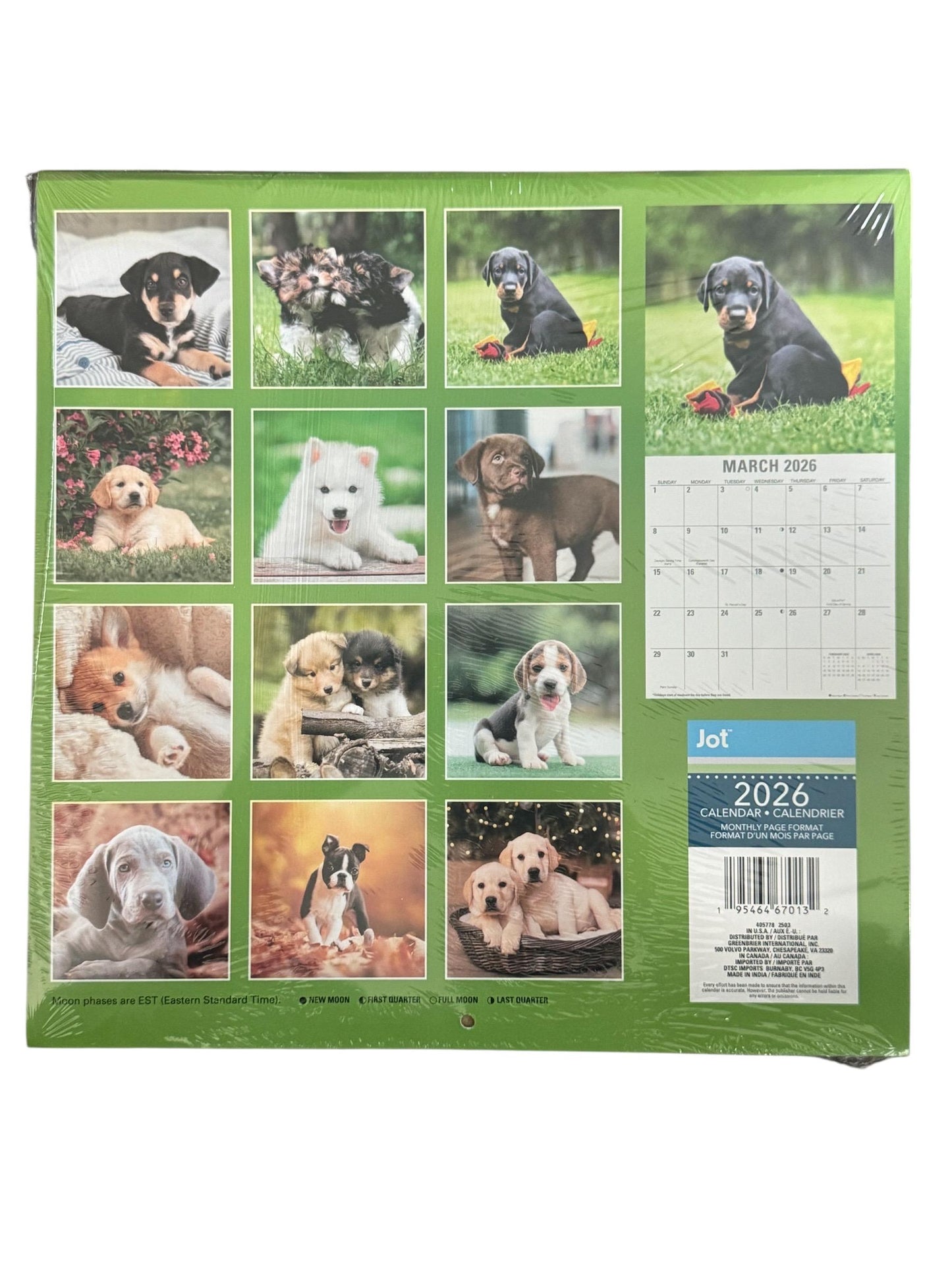 2026 PUPPIES 12” X 24” & DOGS 12 Month 6” X 12” Wall Calendars Pack