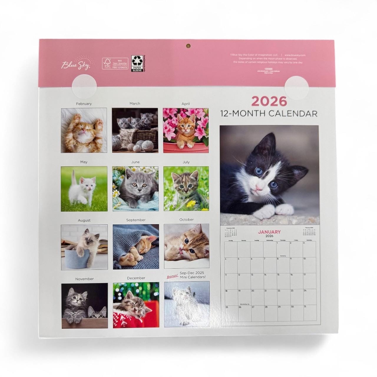 2026 Kittens 12” X 24” 16 Month Wall Calendar New