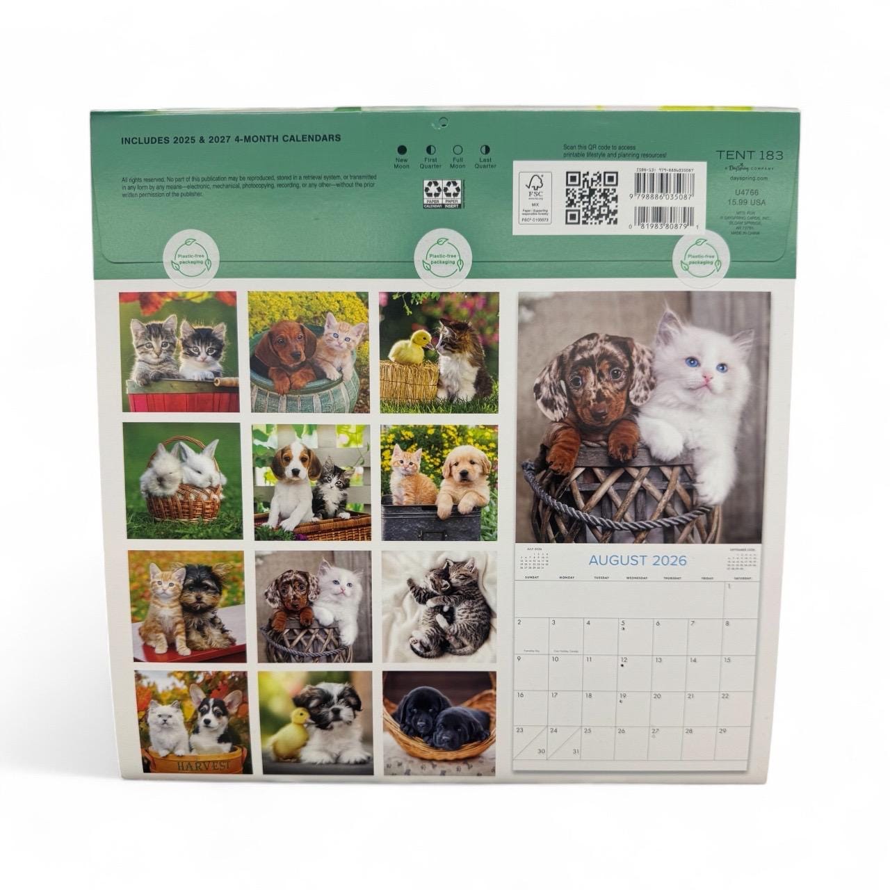2026 Buddies Wall Calendar: Kitten and Puppy, 12" x 12"