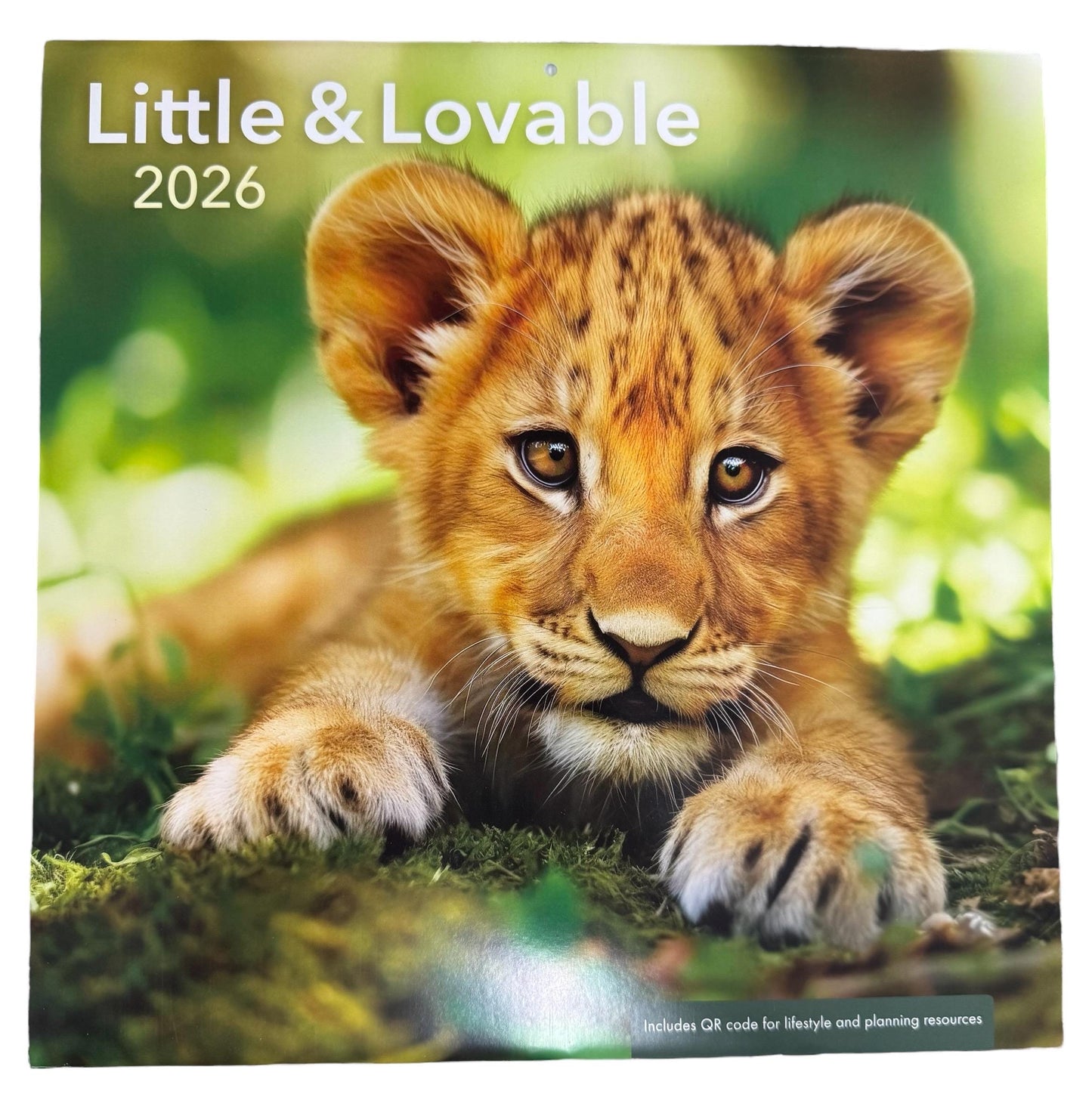 2026 LITTLE & LOVABLE 12” X 24” 16 Month Wall Calendar New Sealed