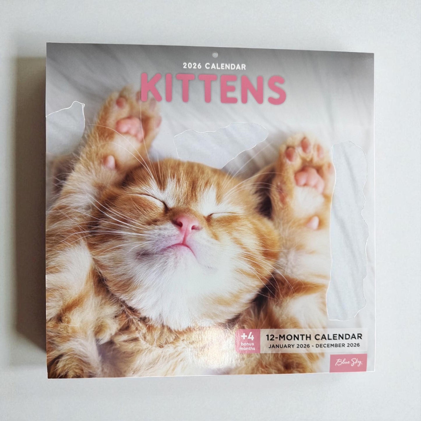 2026 Kittens 12” X 24” 16 Month Wall Calendar New