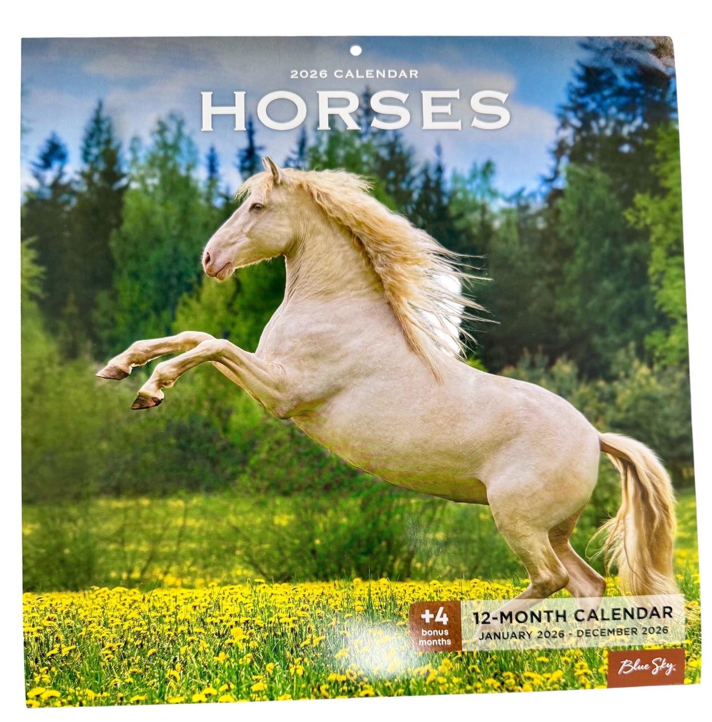 2026 HORSES 12” X 24” 16 Month Wall Calendar New