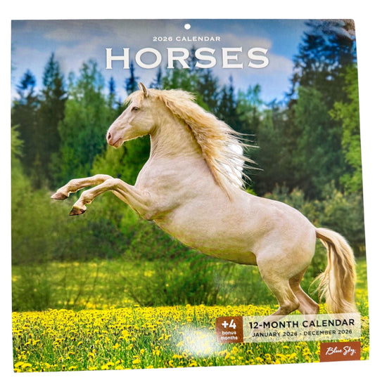 2026 HORSES 12” X 24” 16 Month Wall Calendar New