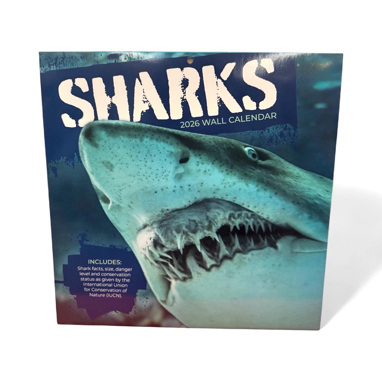 2026 SHARKS  12” X 12” 16 Month Wall Calendar NEW 12”x24” Opened