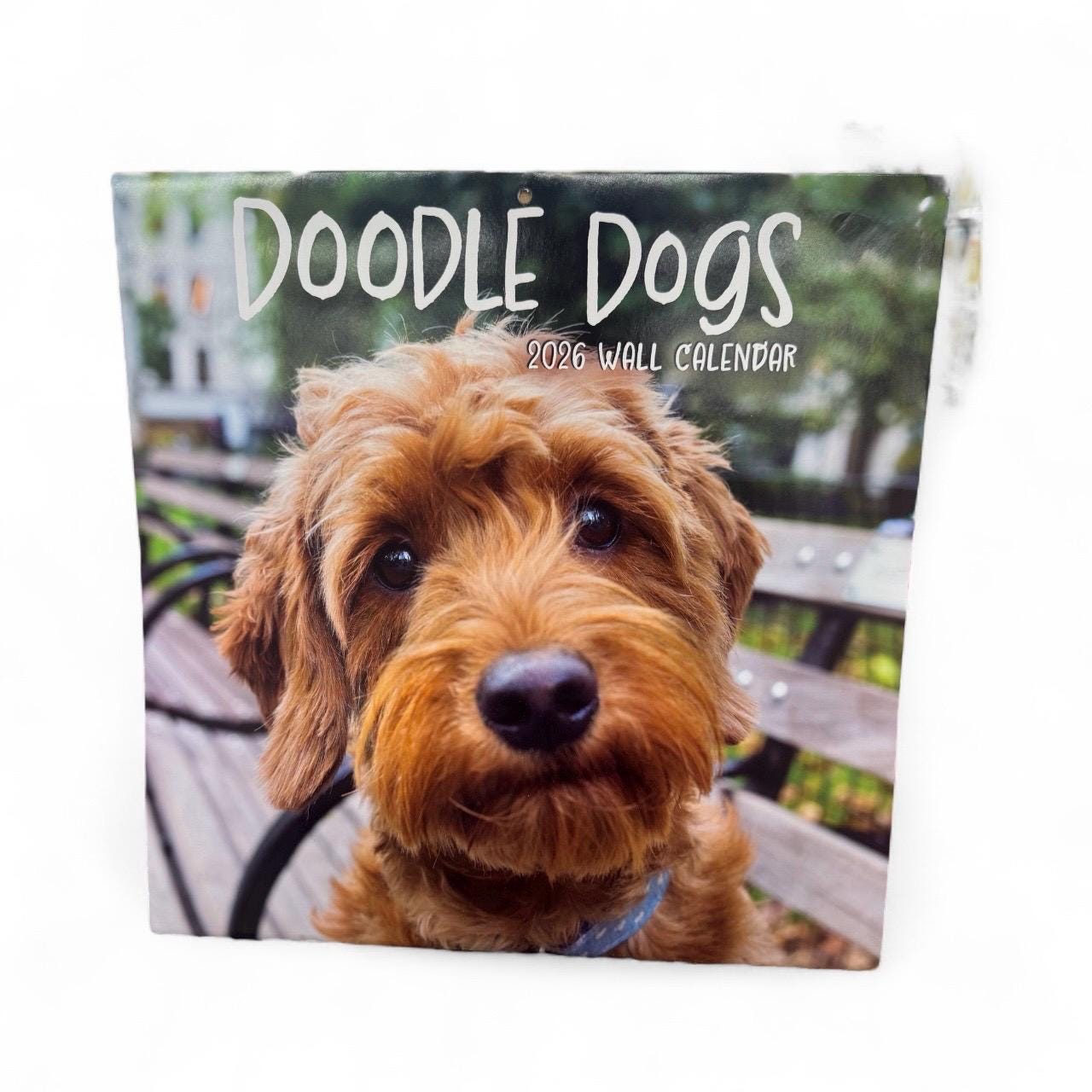 2026 DOODLE DOGS 12” X 12” 16 Month Wall Calendar NEW 12”x24” Opened
